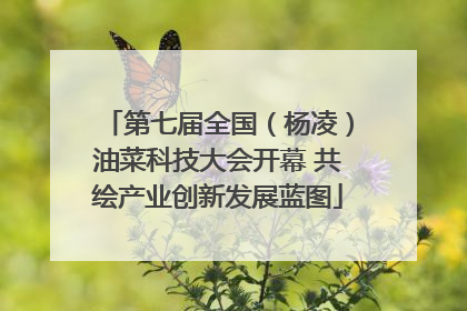 第七届全国（杨凌）油菜科技大会开幕 共绘产业创新发展蓝图