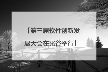 第三届软件创新发展大会在光谷举行