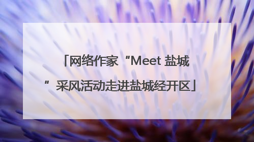 网络作家“Meet 盐城”采风活动走进盐城经开区