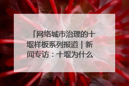 网络城市治理的十堰样板系列报道｜新闻专访：十堰为什么成为“黑马型”城市治理网络维度典型