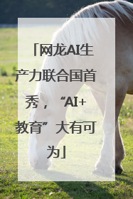 网龙AI生产力联合国首秀，“AI+教育”大有可为