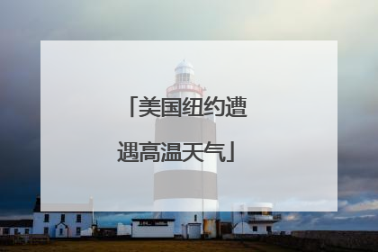 美国纽约遭遇高温天气