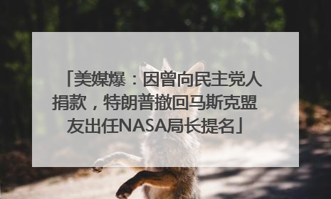美媒爆：因曾向民主党人捐款，特朗普撤回马斯克盟友出任NASA局长提名