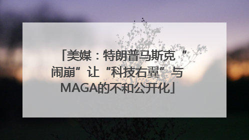 美媒：特朗普马斯克“闹崩”让“科技右翼”与MAGA的不和公开化