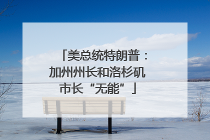 美总统特朗普：加州州长和洛杉矶市长“无能”