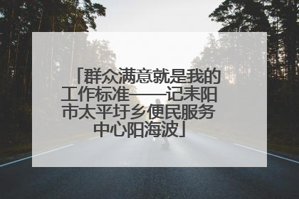 群众满意就是我的工作标准——记耒阳市太平圩乡便民服务中心阳海波