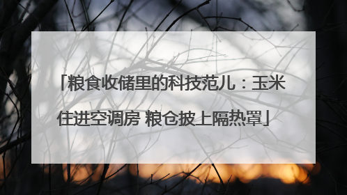 粮食收储里的科技范儿：玉米住进空调房 粮仓披上隔热罩