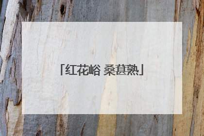 红花峪 桑葚熟