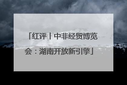 红评丨中非经贸博览会：湖南开放新引擎