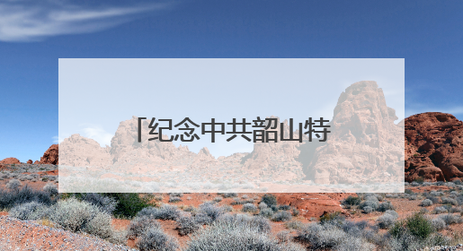 纪念中共韶山特别支部成立100周年《堡垒》电影党课开课