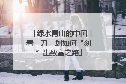 绿水青山的中国丨看一刀一划如何“刻”出致富之路