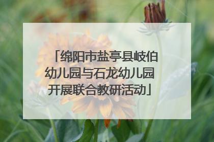 绵阳市盐亭县岐伯幼儿园与石龙幼儿园开展联合教研活动