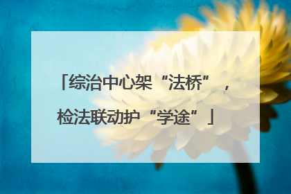 综治中心架“法桥”，检法联动护“学途”