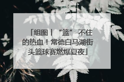 组图丨“篮” 不住的热血！常德白马湖街头篮球赛燃爆夏夜