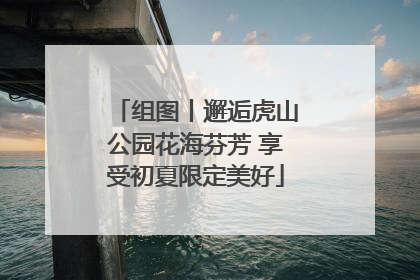 组图丨邂逅虎山公园花海芬芳 享受初夏限定美好