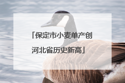 保定市小麦单产创河北省历史新高