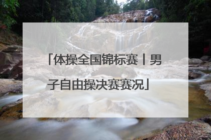 体操全国锦标赛丨男子自由操决赛赛况