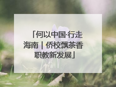 何以中国·行走海南｜侨校飘茶香 职教新发展