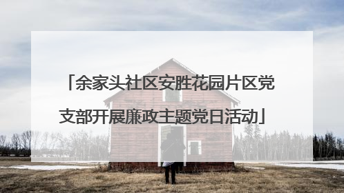 余家头社区安胜花园片区党支部开展廉政主题党日活动