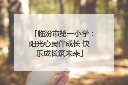 临汾市第一小学：阳光心灵伴成长 快乐成长筑未来