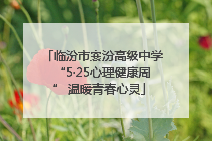 临汾市襄汾高级中学“5·25心理健康周” 温暖青春心灵