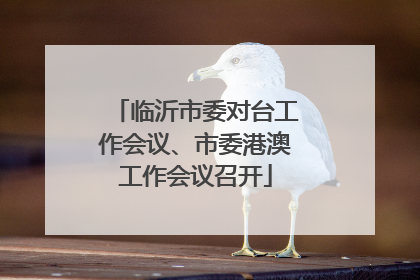 临沂市委对台工作会议、市委港澳工作会议召开