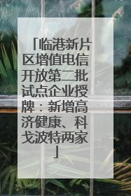 临港新片区增值电信开放第二批试点企业授牌：新增高济健康、科戈波特两家