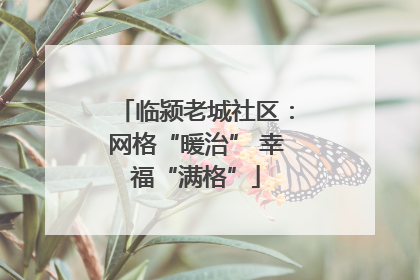 临颍老城社区：网格“暖治” 幸福“满格”
