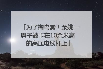 为了掏鸟窝！余姚一男子被卡在10余米高的高压电线杆上