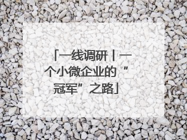 一线调研丨一个小微企业的“冠军”之路