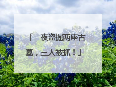 一夜盗掘两座古墓，三人被抓！