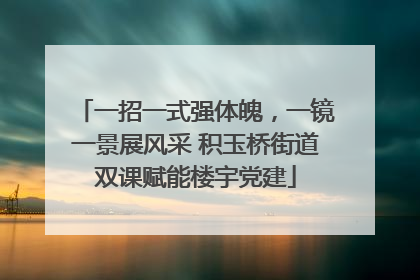 一招一式强体魄，一镜一景展风采 积玉桥街道双课赋能楼宇党建