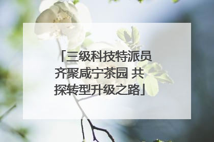三级科技特派员齐聚咸宁茶园 共探转型升级之路