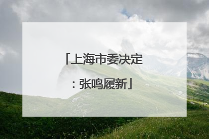 上海市委决定：张鸣履新