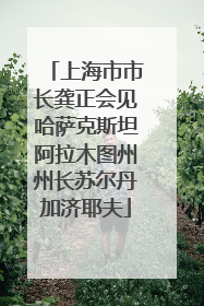 上海市市长龚正会见哈萨克斯坦阿拉木图州州长苏尔丹加济耶夫