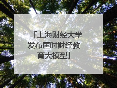 上海财经大学发布匡时财经教育大模型