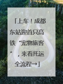 上车！成都东站迎首只高铁“宠物旅客”，来看托运全流程→