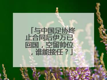 与中国足协终止合同后伊万已回国，空留帅位，谁能接任？