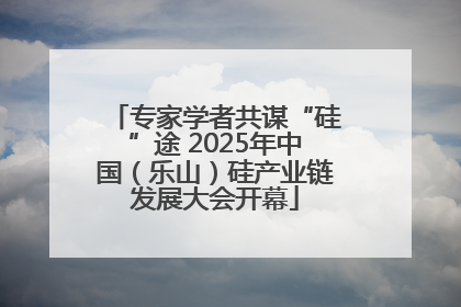 专家学者共谋“硅”途 2025年中国（乐山）硅产业链发展大会开幕