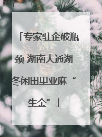 专家驻企破瓶颈 湖南大通湖冬闲田里亚麻“生金”