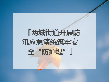 两城街道开展防汛应急演练筑牢安全“防护堤”