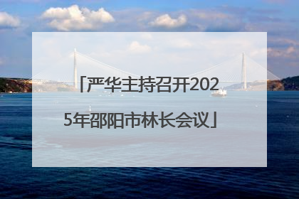 严华主持召开2025年邵阳市林长会议