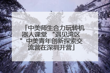 中美师生合力玩转机器人课堂 “遇见湾区”中美青年创新探索交流营在深圳开营