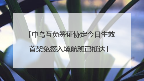 中乌互免签证协定今日生效 首架免签入境航班已抵达