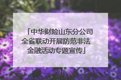 中华财险山东分公司全省联动开展防范非法金融活动专题宣传