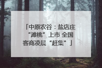 中原农谷：盐店庄“滩桃”上市 全国客商凌晨“赶集”