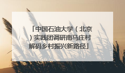 中国石油大学（北京）实践团调研南马庄村解码乡村振兴新路径