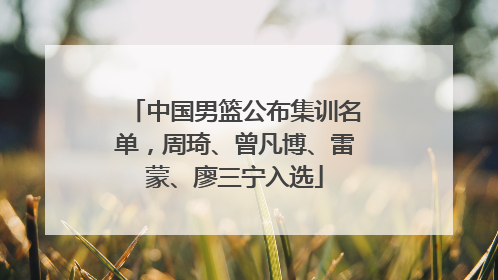 中国男篮公布集训名单，周琦、曾凡博、雷蒙、廖三宁入选
