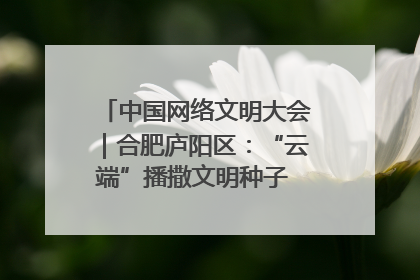 中国网络文明大会｜合肥庐阳区：“云端”播撒文明种子 共建清朗网络空间