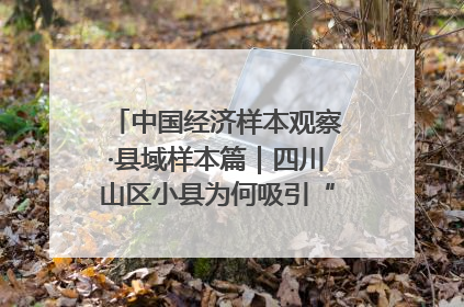 中国经济样本观察·县域样本篇｜四川山区小县为何吸引“村播”扎堆？
